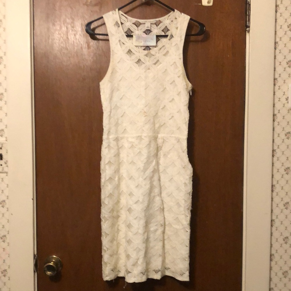 Size 4 Summer 2011 White Banana Republic Sleeveless Dress, Cotton Blend
